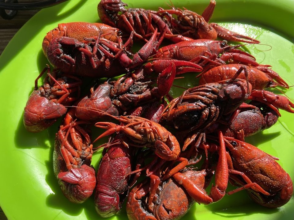 Boiled Crawfish Cajun Spiced